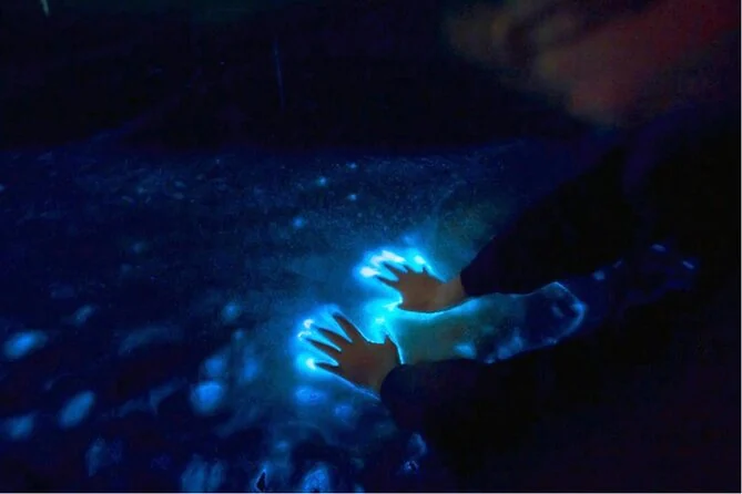 Atardecer y bioluminiscencia en Los Arcos